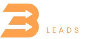 b2blead99.com
